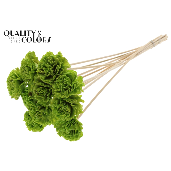 <h4>Shola Karnish Flower 6cm on stem Wax Light Green</h4>