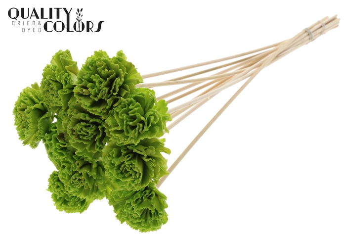 <h4>Shola Karnish Flower 6cm on stem Wax Light Green</h4>
