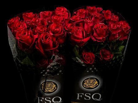 <h4>R Gr Explorer Box</h4>