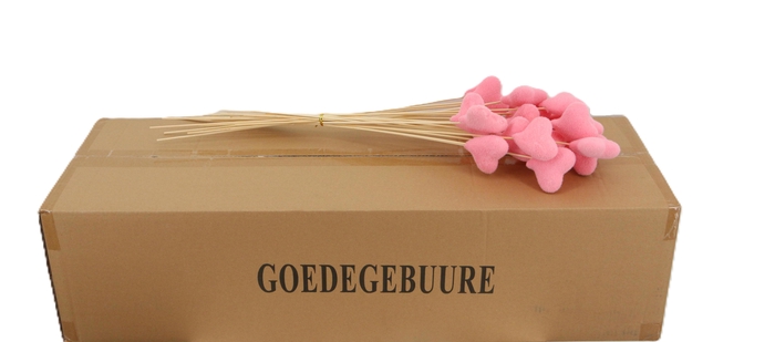 <h4>HUIS EN TUINDECO H%</h4>