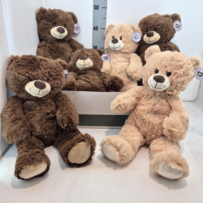 <h4>HUIS EN TUINDECO H%</h4>