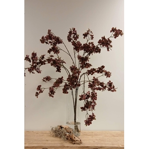 Cherry Blossom Burgundy