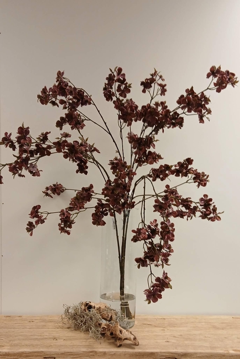 <h4>Cherry Blossom Burgundy</h4>
