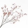Blossom Spray Pink FL440295PNK