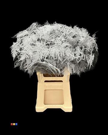 <h4>Asp Extra Grey</h4>