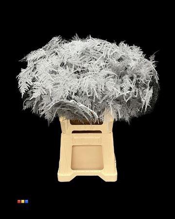 <h4>Asp Extra Grey</h4>