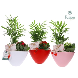 Pot keramiek ovaal Medium met Arrangement