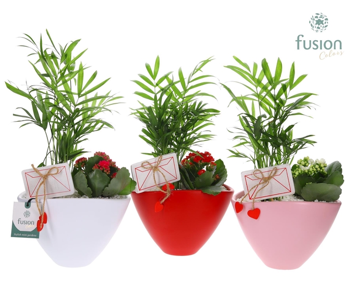 <h4>Pot keramiek ovaal Medium met Arrangement</h4>