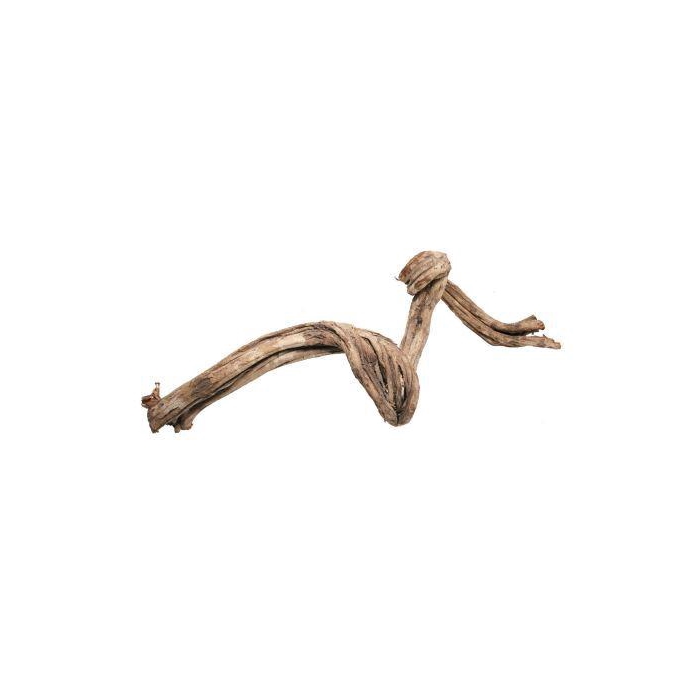 <h4>Branch Cipo Rosca L100/120 D8/9</h4>