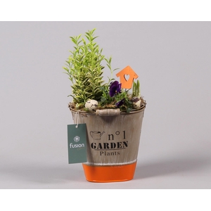 Pasen zinken emmer ovaal hoog met