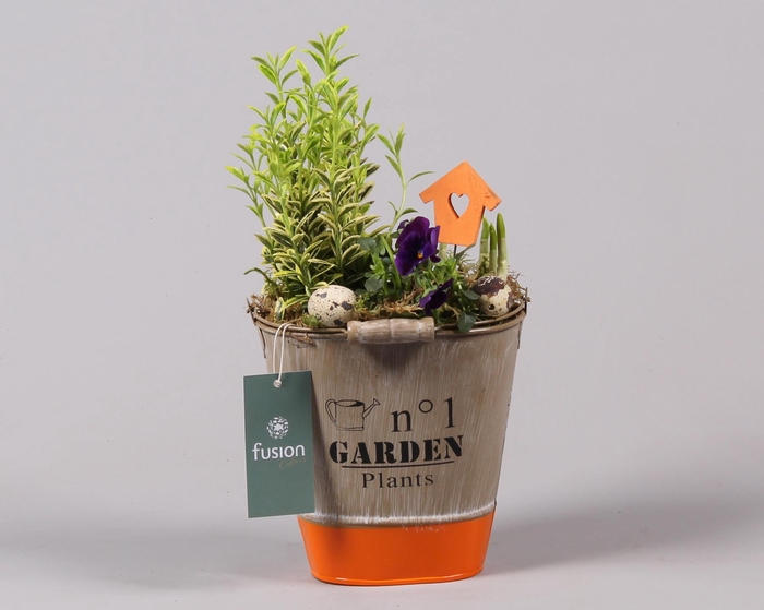 <h4>Pasen zinken emmer ovaal hoog met</h4>