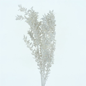 Pres Ruscus Bleached Pastel White-creme Per Stem