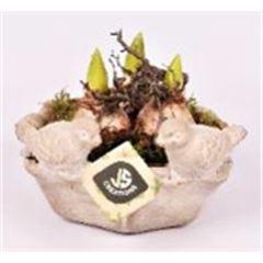 <h4>Cement vogelschaal 18cm</h4>