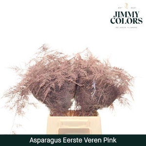 Aspa 1ste veren Pink