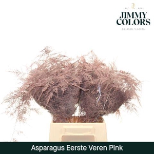 Aspa 1ste veren Pink