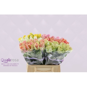 R Gr Qualirosa Suprise Mix -in box