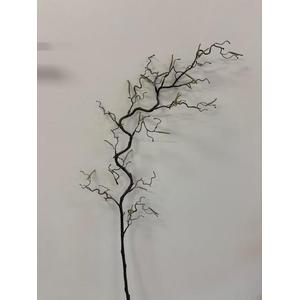 AF Corylus Contorta L120cm Nat