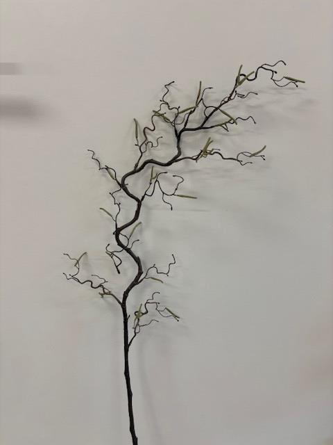 <h4>AF Corylus Contorta L120cm Nat</h4>
