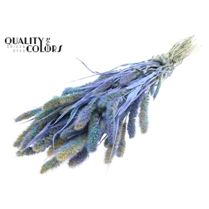 Setaria per bunch Multicolour Light Blue