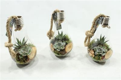 <h4>2116 Hang Lamp Peer</h4>