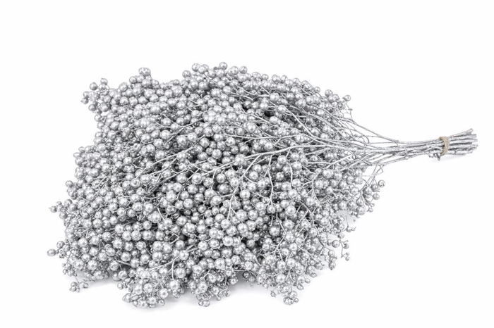 <h4>Schinus M Pt Silver Bunch</h4>