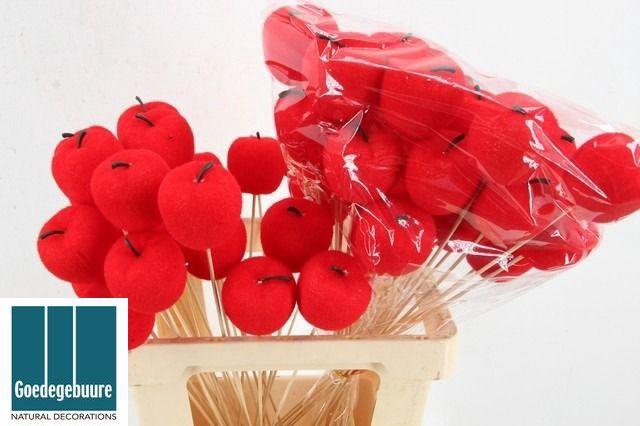 <h4>HUIS EN TUINDECO H%</h4>