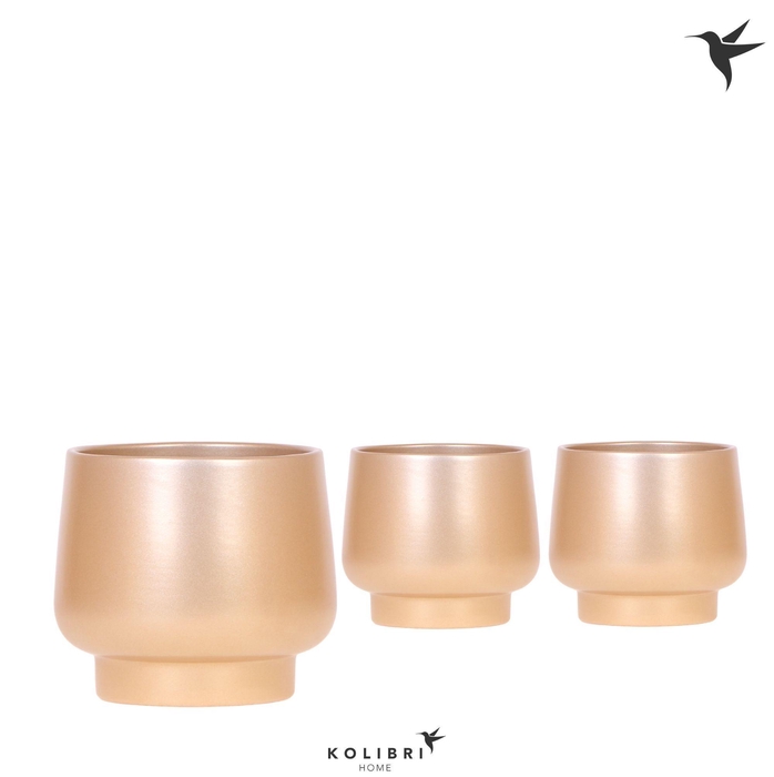 <h4>Kolibri Home Scandic pot gold</h4>