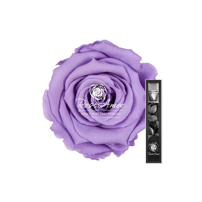 <h4>30cm Stem Vio03</h4>