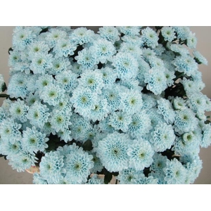 Chr S Aaa Cash Blauw