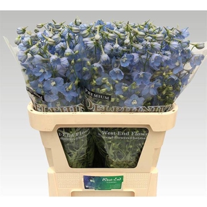 Delph Ballkleid West End Flowers