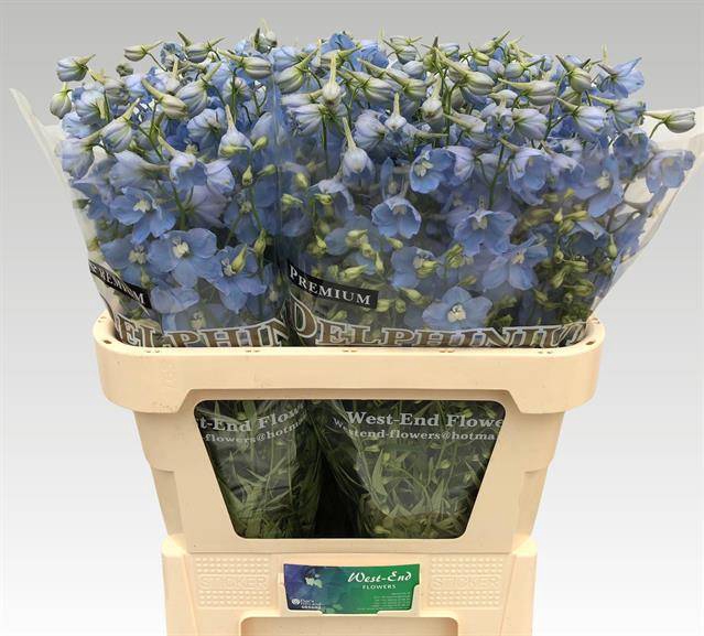 <h4>Delph Ballkleid West End Flowers</h4>