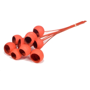 Bell Cup O/s 10pc Burnt Orange