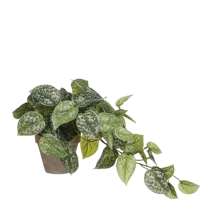 <h4>Kunstplanten Pot Epipremnum d11/17*44cm</h4>