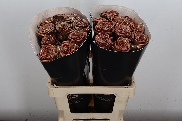 <h4>R Wx (rn) Gold Play</h4>