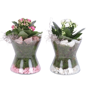 Yearround Arr. Indoor Glass Hourglass Ø13cm 1PP