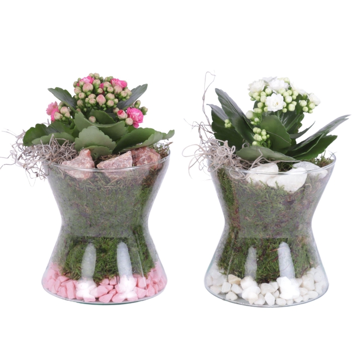 <h4>Yearround Arr. Indoor Glass Hourglass Ø13cm 1PP</h4>