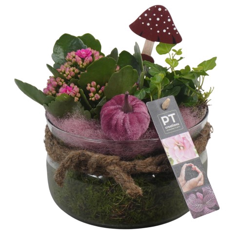 <h4>PTHG3336 Arrangementen kamerplanten</h4>