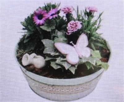<h4>5050 Zink Groen Luxe Bt</h4>