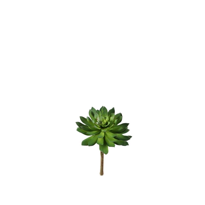 <h4>Kunstplanten Echeveria marco polo 20cm</h4>