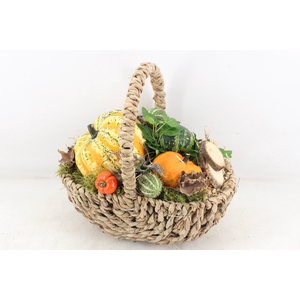 arr4 Sierfruit MB - Tasmand x4