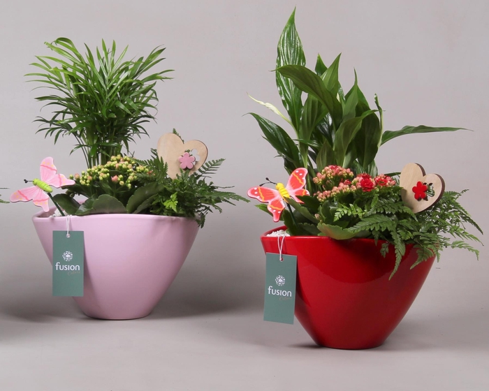 <h4>Keramieken pot ovaal div. kleuren met ArrD22.5 H40</h4>