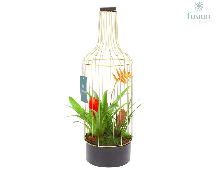 <h4>Fles metaal goudzwart Large met Bromelia</h4>