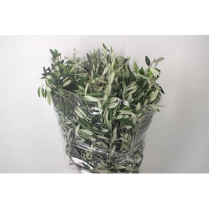 Olijf Per Bunch 400 Gram