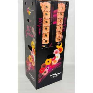 GE MI ESPRESSO Aquabox - diamond (8 x 15)