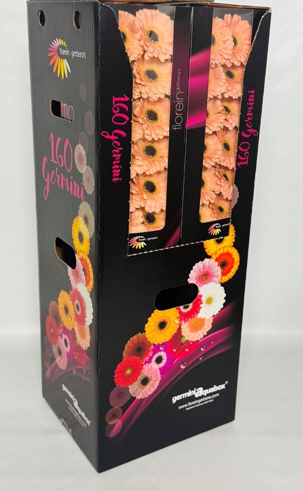 <h4>GE MI ESPRESSO Aquabox - diamond (8 x 15)</h4>