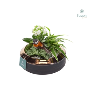 Schaal keramiek brons Medium met Arrangement