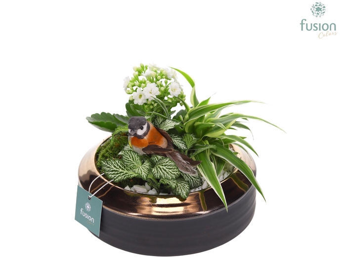 <h4>Schaal keramiek brons Medium met Arrangement</h4>