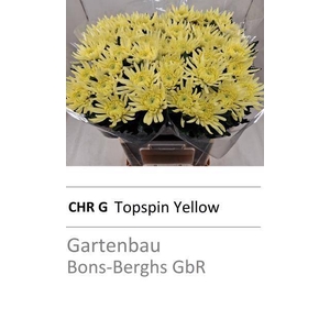 CHR G TOPSPIN YELLOW ANGEBOT