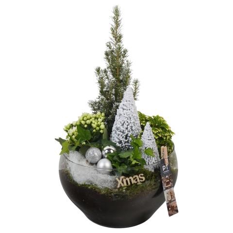 <h4>PTCHW4408 Arrangementen Kerst</h4>