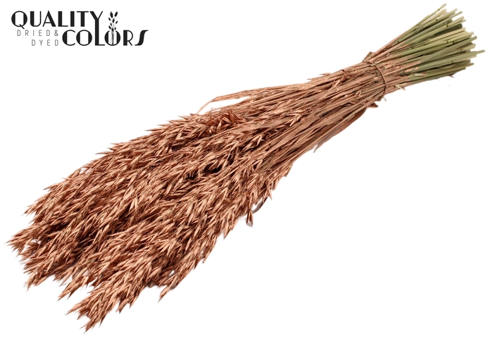 <h4>Avena per bunch Copper</h4>